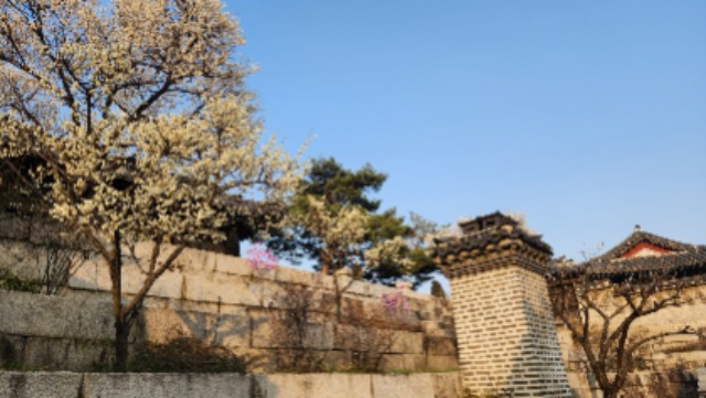 창덕궁3.jpg