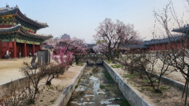 창경궁2.jpg