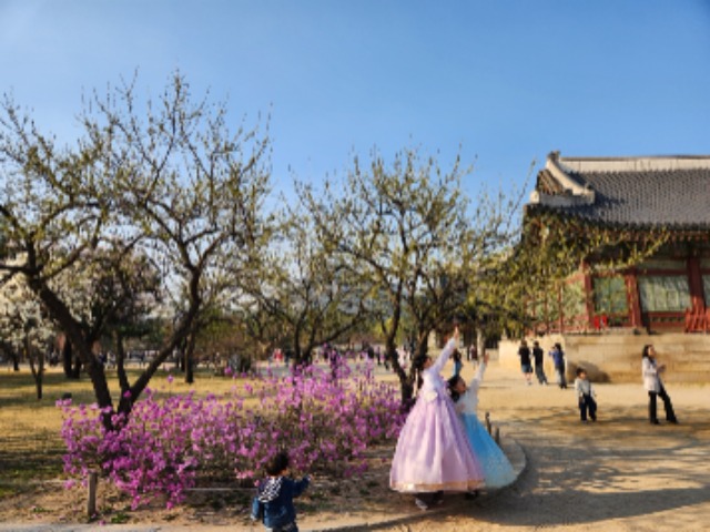 경복궁1.jpg