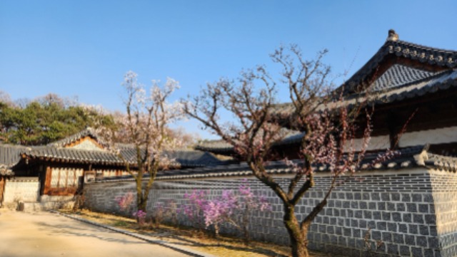 경복궁3.jpg